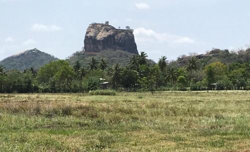 Фотография гостиницы Royal Rock Sigiriya