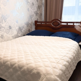 Фотография квартиры Апартаменты на Фурманова 3