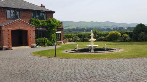 Фотографии мини отеля
Tall Trees