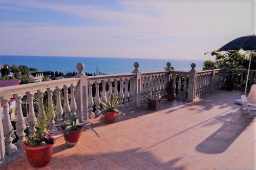 Фотография гостевого дома Дубовая роща