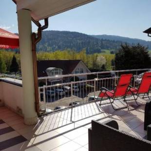 Фотографии гостевого дома 
            Hawana Pensjonat & SPA