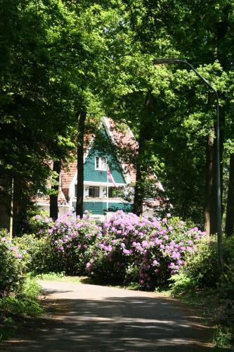 Фотография гостиницы Hotel De Barones