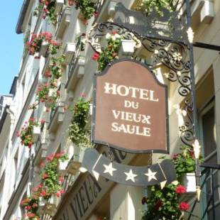 Фотографии гостиницы 
            Hôtel Du Vieux Saule