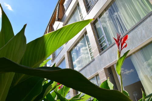 Фотография мини отеля Акватель