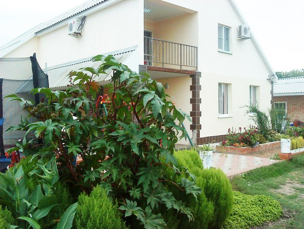 Фотография гостиницы Азовская русалка