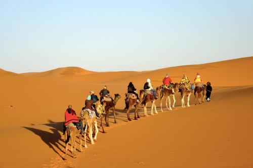 Фотография кемпинга Sahara camel tours camp