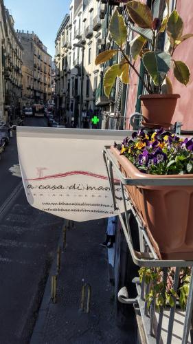 Фотография мини отеля A Casa di Mamma