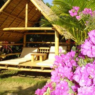 Фотографии гостиницы
Old Tree's House