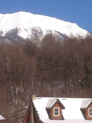 Фотография гостевого дома Золотой Каштан