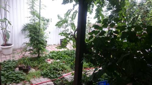 Фотографии гостевого дома
На Средней, 45/3