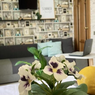 Фотография квартиры Niki Rent на Саратовском шоссе 53