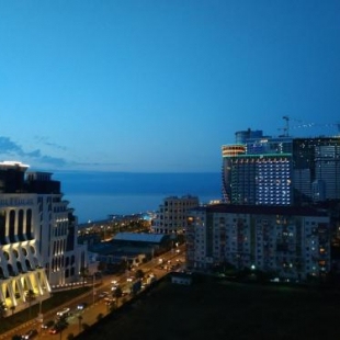 Фотография гостиницы ORBI PLAZA BATUMI