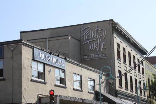 Фотография хостела Painted Turtle Guesthouse