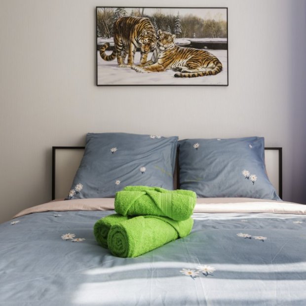 Фотографии квартиры
Апартаменты на Безымянной 2(3)