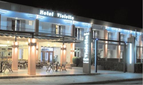 Фотография гостиницы Violetta