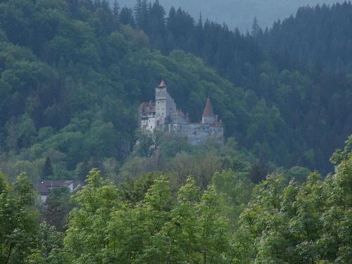 Фотография гостевого дома Pensiunea Muntele Rece