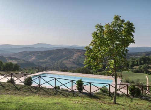 Фотография базы отдыха Agriturismo Dolce Sentire