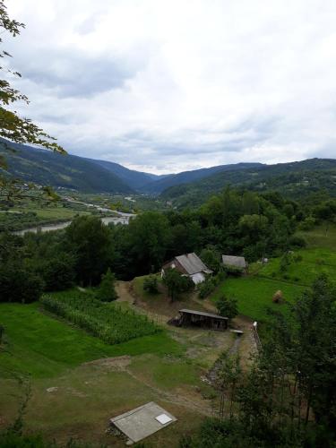 Фотография гостевого дома Усадьба над рекою