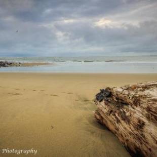 Фотографии гостевого дома
Whare Manu Boutique Cottage