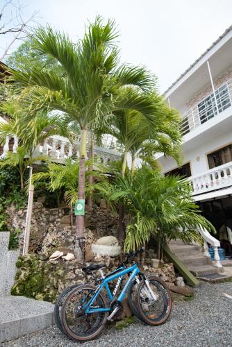 Фотография мини отеля The Rock House Eco