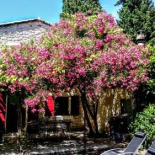 Фотография гостевого дома Le mazet du mas