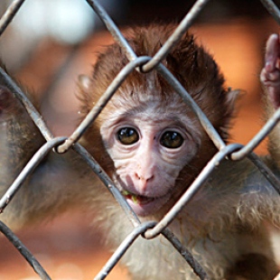 Фотография достопримечательности Зоопарк