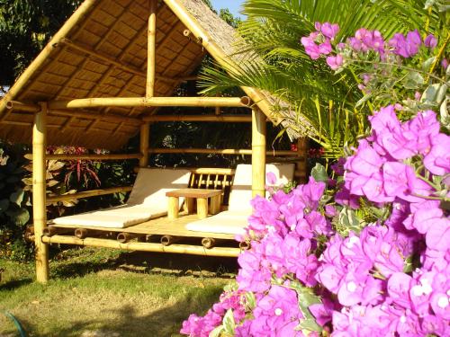 Фотография гостиницы Old Tree's House