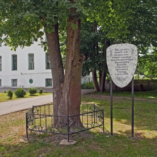 Фотография достопримечательности Дуб Александра Невского