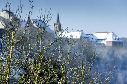 Фотография гостиницы Spa Hôtel Restaurant Au Lion d'Or