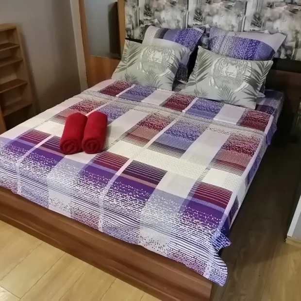 Фотографии квартиры 
            Апартаменты ЖД Вокзал Пр Маркса 48