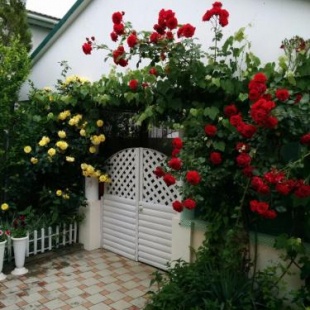 Фотография гостевого дома Времена года