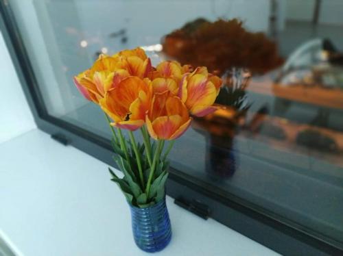 Фотография гостиницы Pumpkin