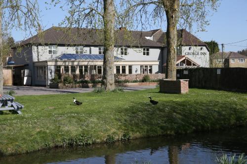 Фотография гостиницы The George Inn