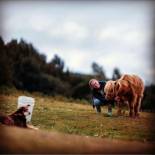 Фотография базы отдыха Ruby's Cottage