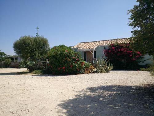 Фотография гостевого дома Casita Lulu