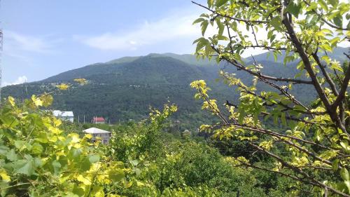 Фотографии мини отеля
Flower Garden