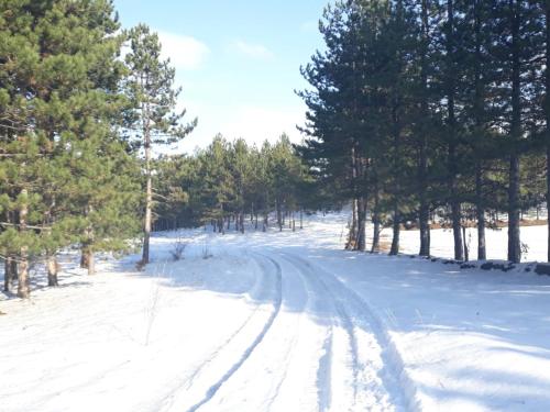 Фотография гостевого дома Ruza vetrova