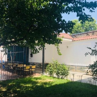 Фотография хостела The Nest