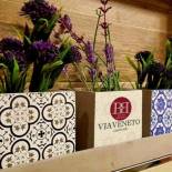 Фотография гостевого дома B&B VIA VENETO