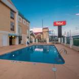 Фотография мини отеля Red Roof Inn & Suites Newnan