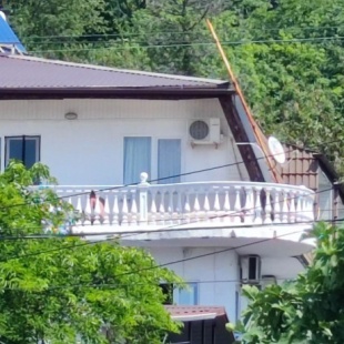 Фотография квартиры Апартаменты Платан