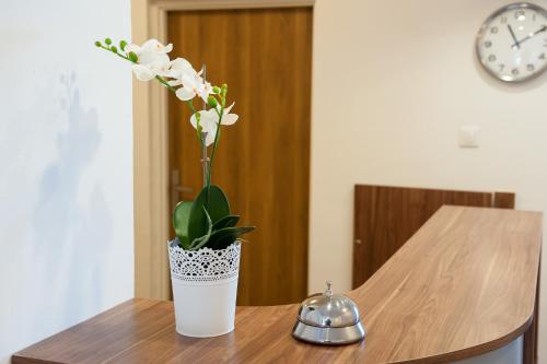 Фотография мини отеля Patra