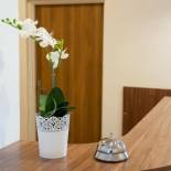 Фотография мини отеля Patra