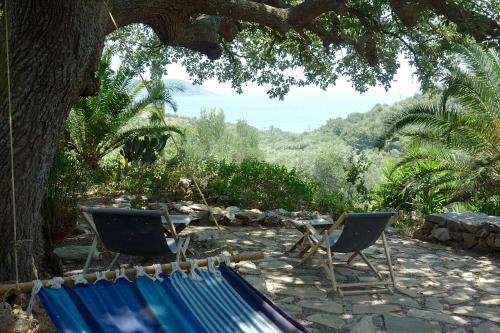 Фотография гостевого дома Wellanidia Cottage Skoutari