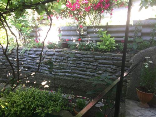 Фотография гостевого дома Берег моря