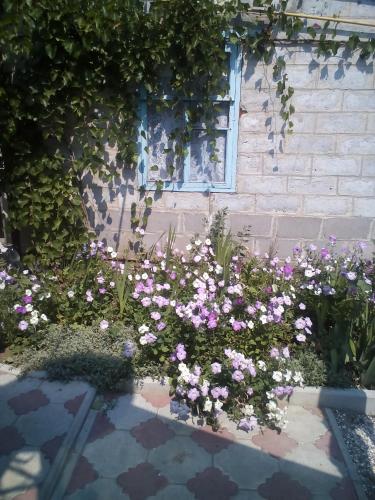 Фотография гостевого дома У Даниловны