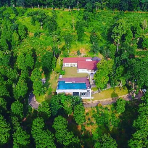 Фотографии гостиницы
Simpson's Forest Hotel