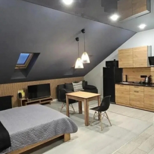 Фотография квартиры Апартаменты Лофт Комфорт Альянс