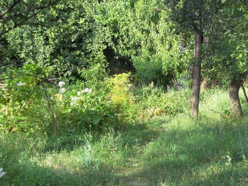 Фотография гостевого дома Decima