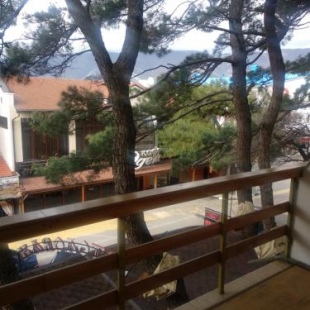 Фотография гостевого дома Элени